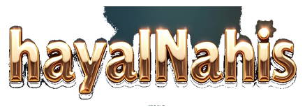 hayalnahis logo